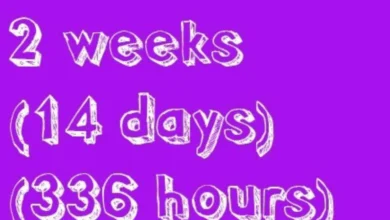 2 Weeks from Today